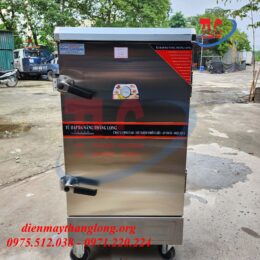 Tủ hấp giò chả 10 khay điện Thăng Long