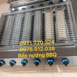 không khói dùng gas 6 họng F006