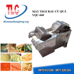 Máy thái rau củ quả YQC-660