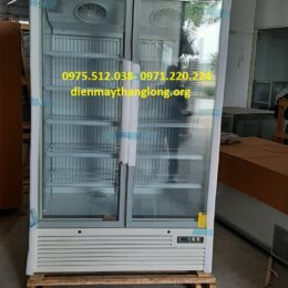 Tủ đông đứng 2 cánh kính