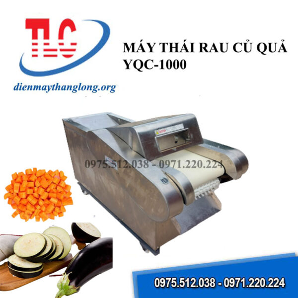 Máy thái rau củ quả YQC-1000