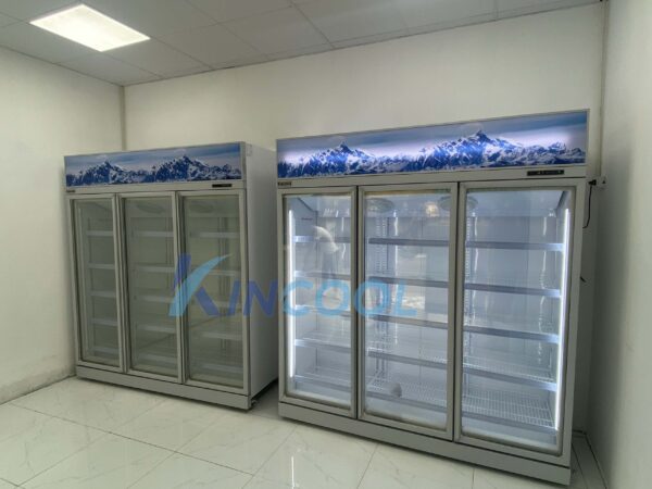 Cách sắp xếp thực phẩm hợp lý trong tủ mát thương hiệu Kincool