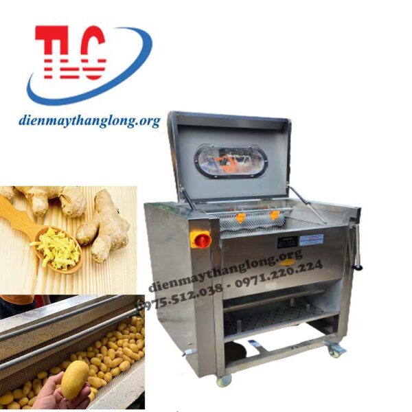 Sử Dụng Máy Rửa Rau Củ Quả Có Đảm Bảo Không? Nên Dùng Loại Máy Nào?