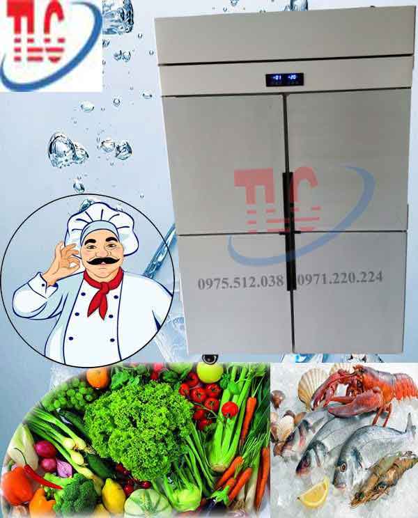 Review Chi Tiết Về Những Mẫu Tủ Đông Công Nghiệp 4 Cánh Đáng Dùng Nhất