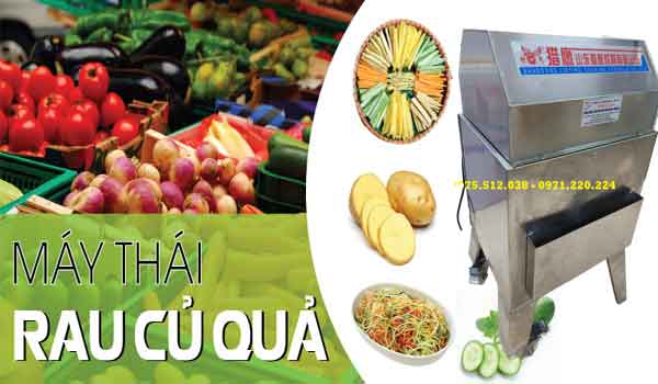 Cấu tạo, chức năng và nguyên lý hoạt động của máy thái củ quả đa năng công nghiệp