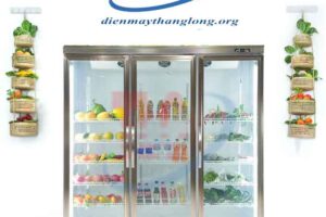 Top 3 Dòng Tủ Trái Cây, Tủ Trưng Bày Rau, Củ Quả Giá Tốt Nhất Tại ĐIỆN MÁY THĂNG LONG