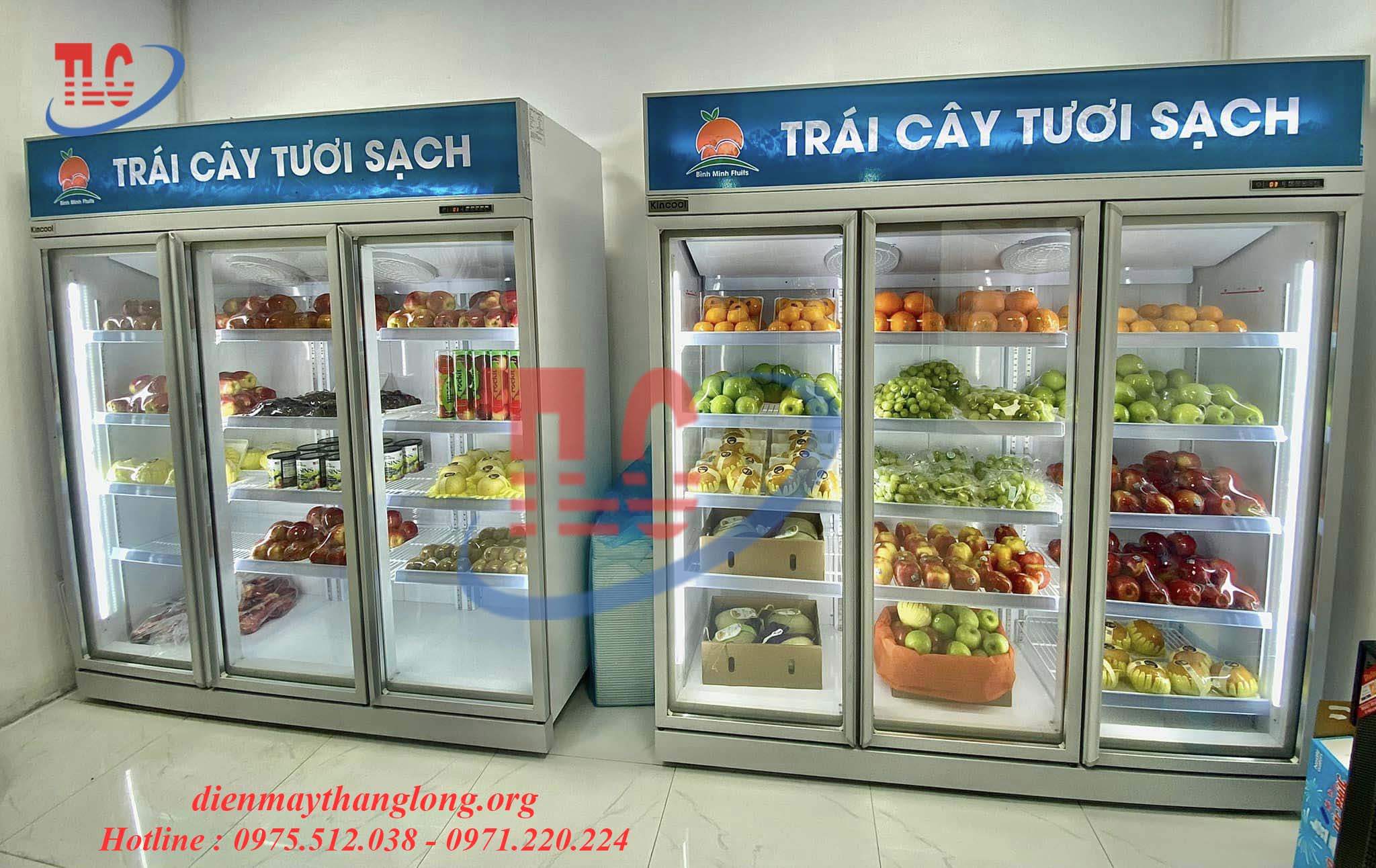 Nên Chọn Tủ Lạnh Hoa Quả Kính Cong Hay Tủ Kính Phẳng Để Trưng Bày Hoa Quả Đẹp Mắt Hơn?