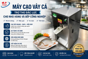 Máy Cạo Vảy Cá – Trợ Thủ Đắc Lực Cho Nhà Hàng Và Bếp Công Nghiệp