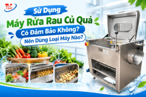 Sử Dụng Máy Rửa Rau Củ Quả Có Đảm Bảo Không? Nên Dùng Loại Máy Nào?